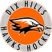 Dix Hills Hawks Logo