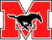 Long Island Mustangs Logo
