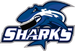 Long Island Sharks Logo
